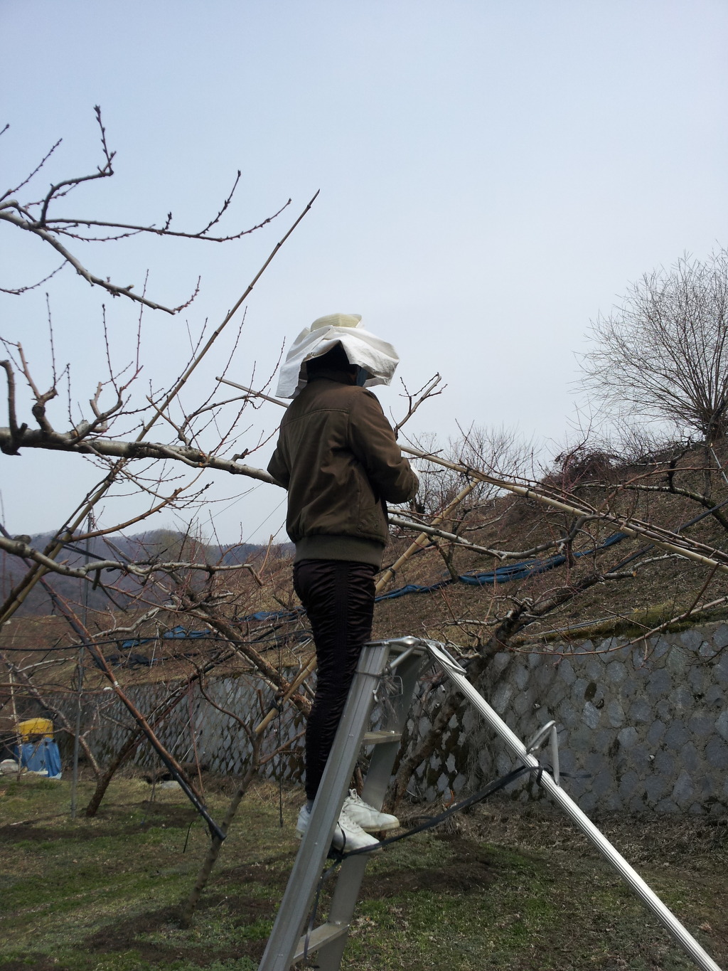 송원농장 이미지