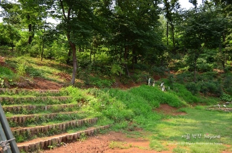 북카페반디 이미지