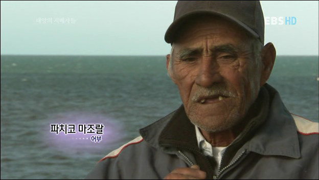 인간을 용서한 고래 | 인스티즈