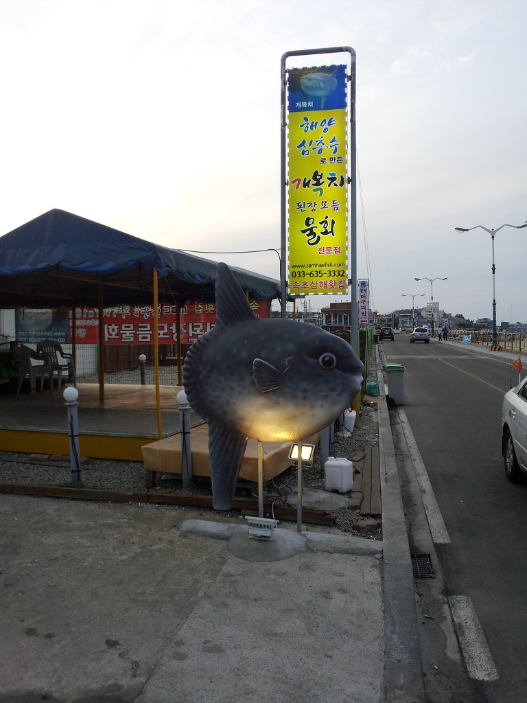 삼해횟집 이미지
