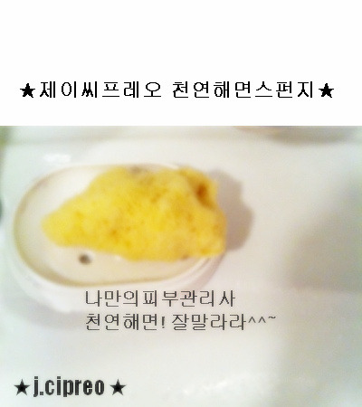해면 이미지