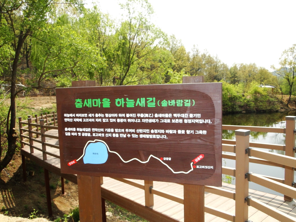 춤새마을 이미지
