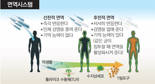 엔케이바이오 이미지