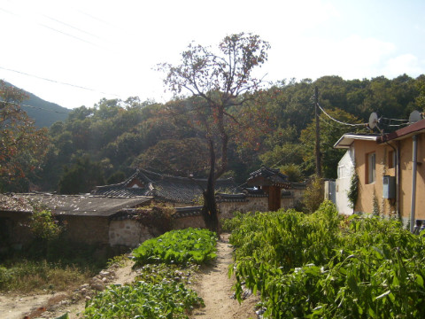 목향원 이미지