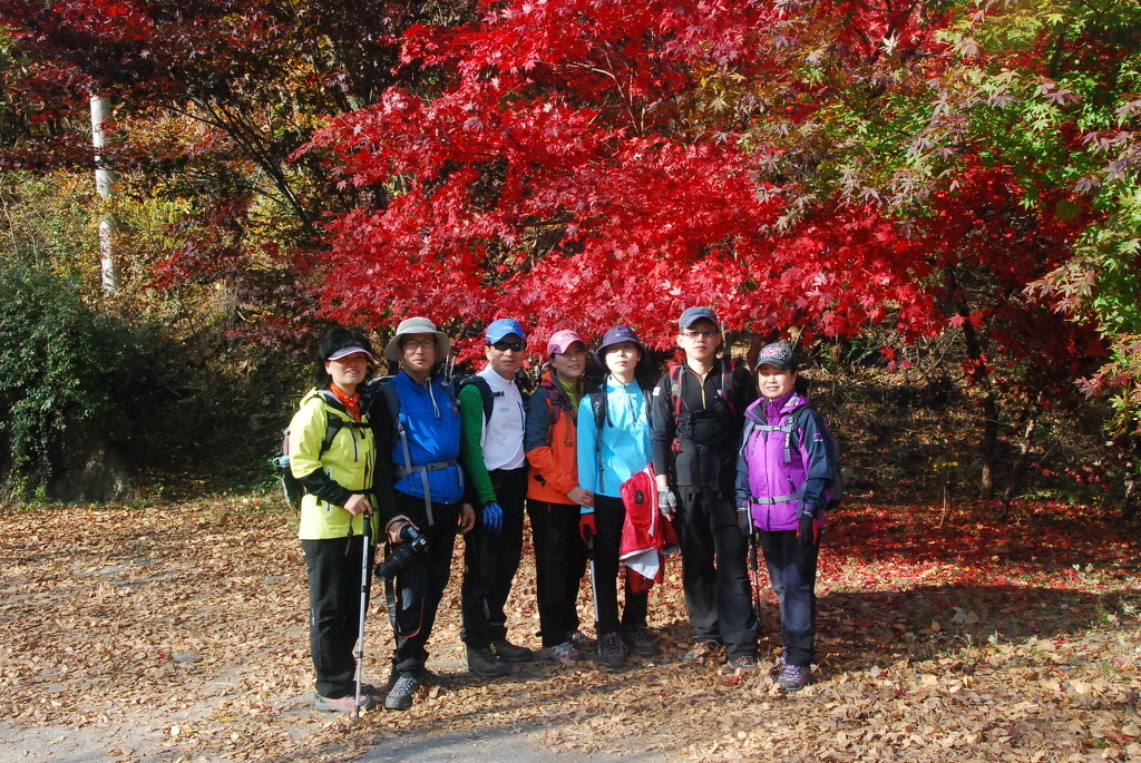 산울림 이미지