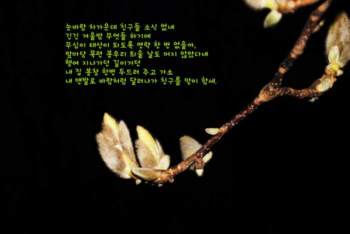 무담시 이미지