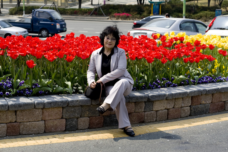 선몰 이미지