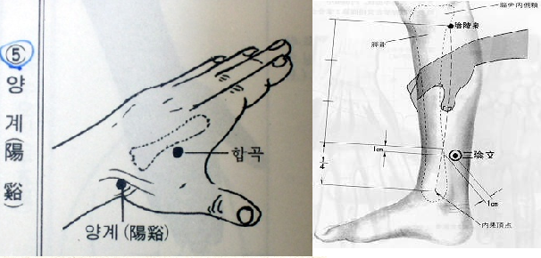 족삼리 이미지
