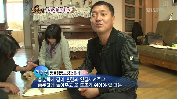 [동물농장] 지팡이 짚고 걷는 심봉사 개 또또라오 | 인스티즈