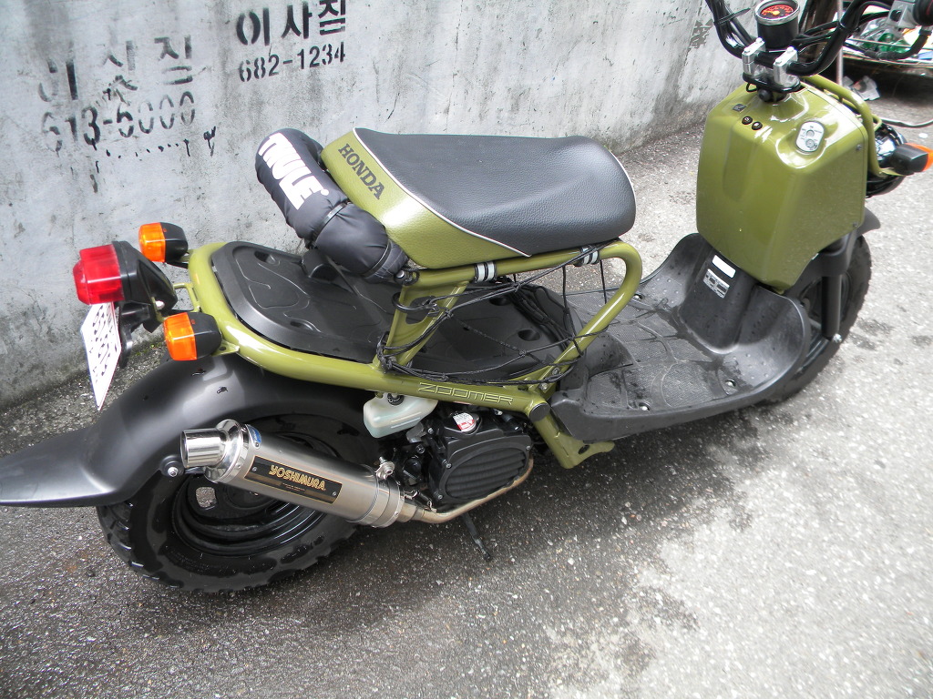 소유색 이미지