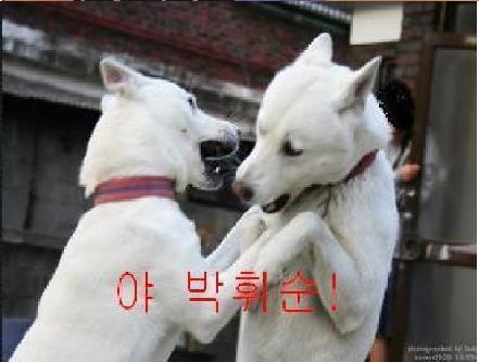 없음 이미지