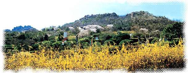 밭 이미지