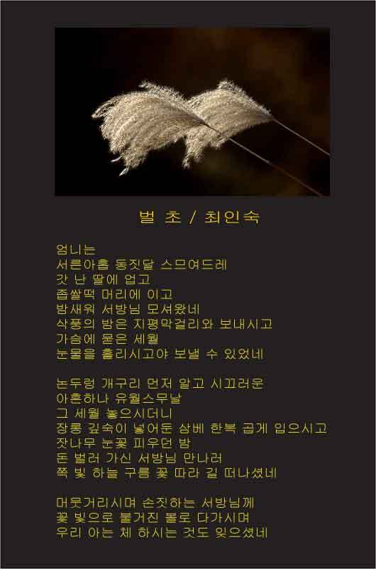 최인숙 이미지
