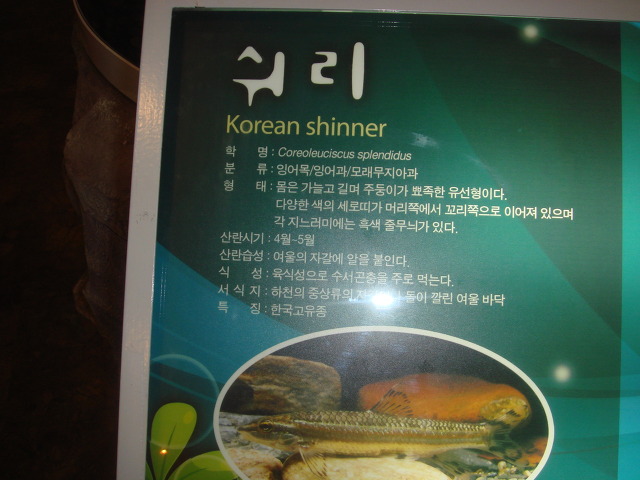 평창고기 이미지