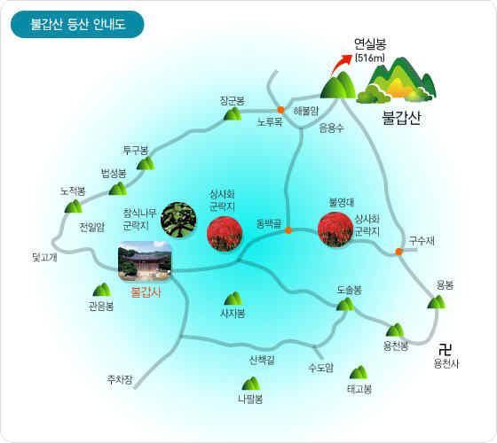동백골식당 이미지