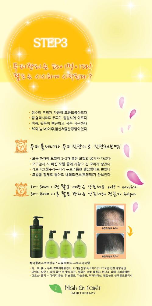 앙포레 이미지