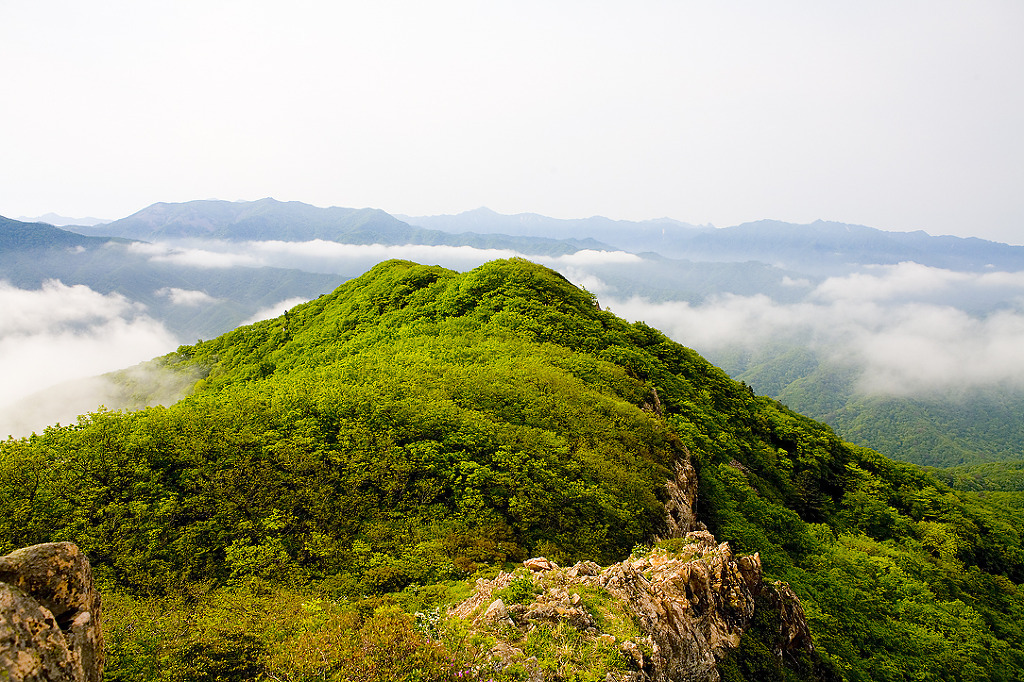 산과들과바람 이미지