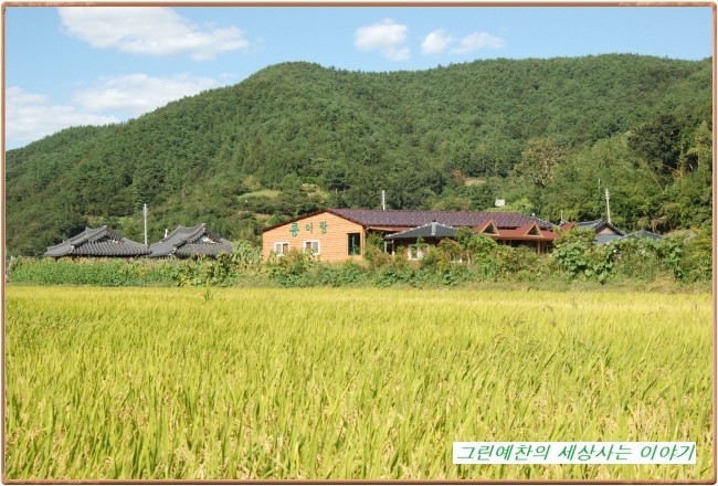 콩이랑농원 이미지