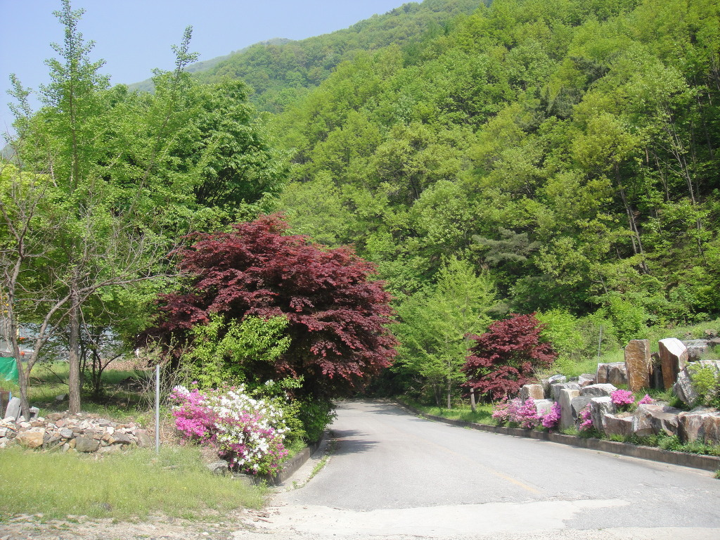 대한불교 진여원 이미지