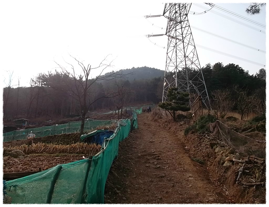 솔다방 이미지