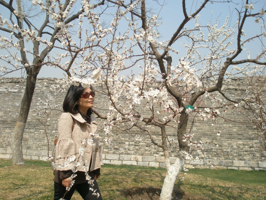 명성장 이미지