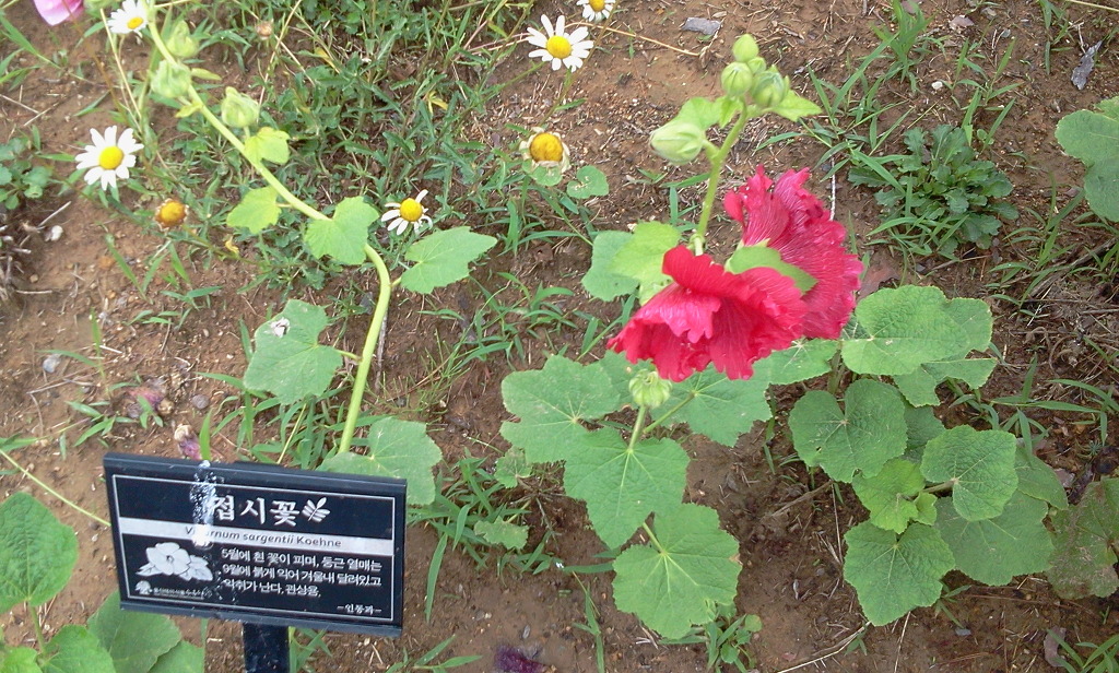 울산테마식물·수목원 이미지
