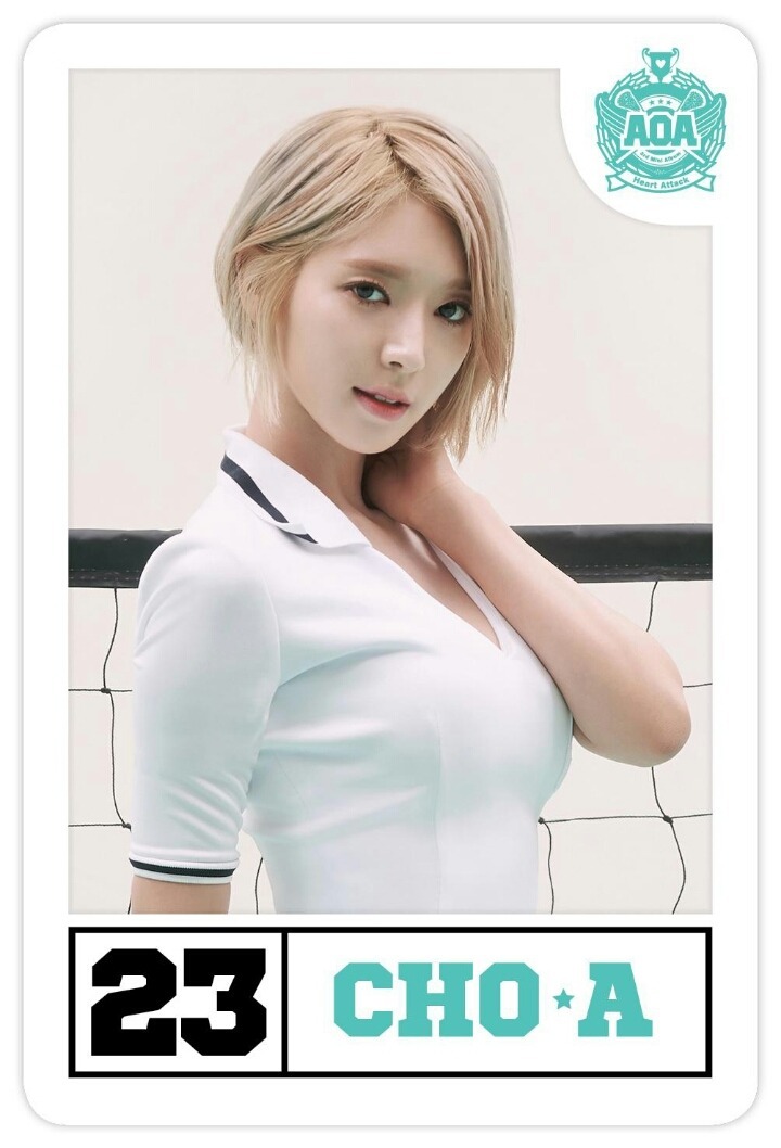 제가 이미지