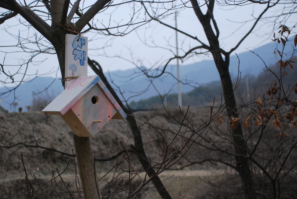 꿈꾸는애벌레자연놀이학교 이미지
