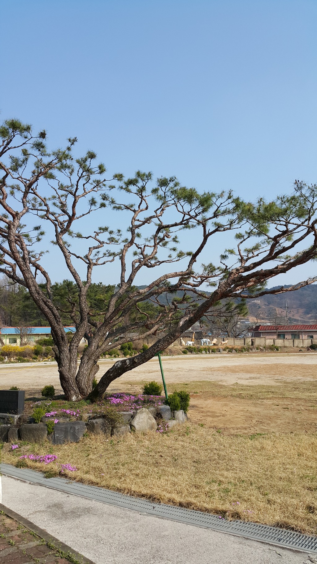 도비예술학교 이미지