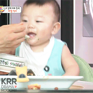 수요일 아침을 맞이하는 대박이.jpgif | 인스티즈