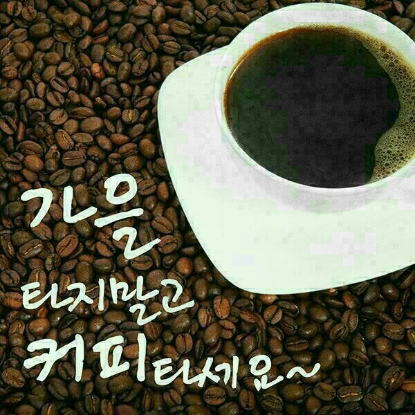 머리 못하는 집 이미지