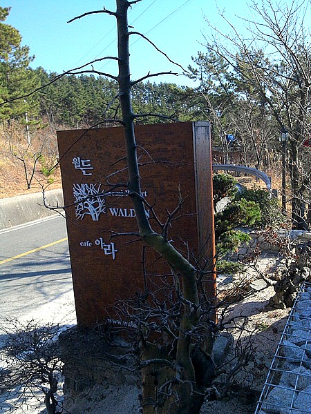 아라카페 이미지