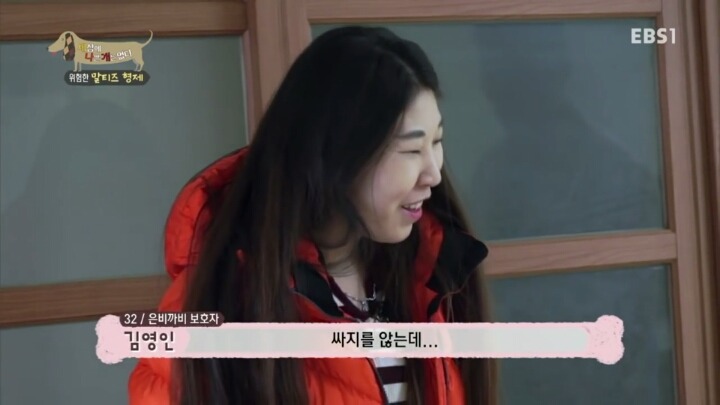 공격적인 반려견이 되는 이유 2부.jp | 인스티즈