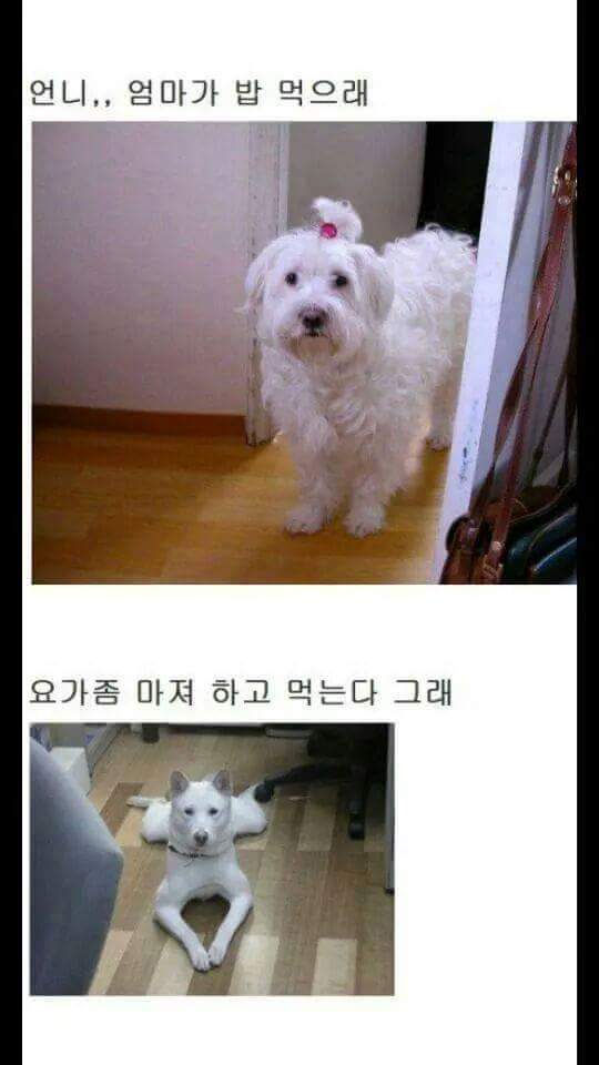 밥은 먹고 다니냐 | 인스티즈