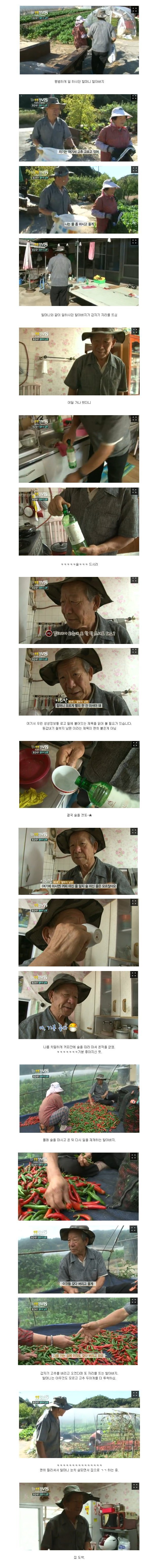 대한민국의 4대 할아버지 | 인스티즈