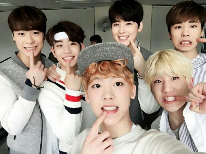 달콩 이미지