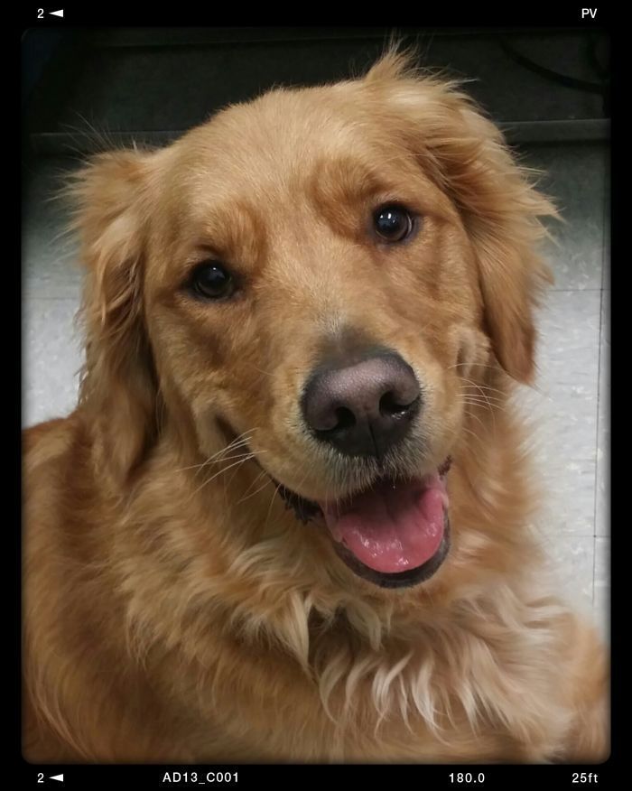 21326A3A5602AC081824E8