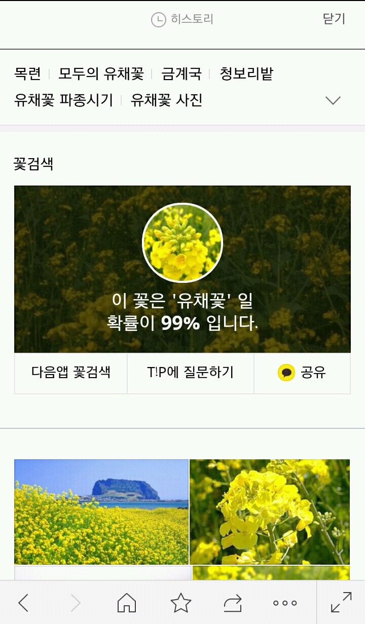 완전 신기한!!! 꽃검색 기능 알고계셨나요??? | 인스티즈