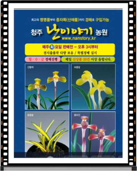 한국춘난판매 이미지