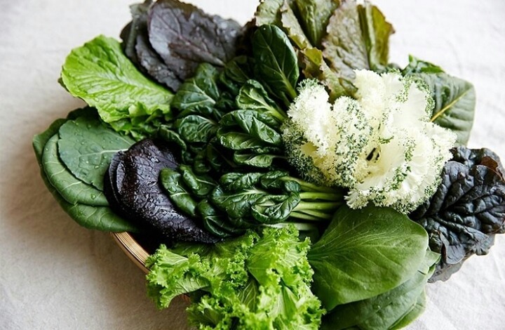 외적인 소원을 지대로 풀어줄테니 이 식단과 습관을 지키라고하면 한다 vs 안한다 | 인스티즈