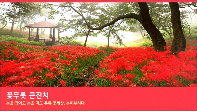 참사랑상사 이미지