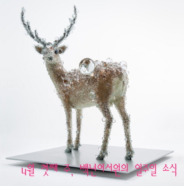 가톨릭서원 이미지