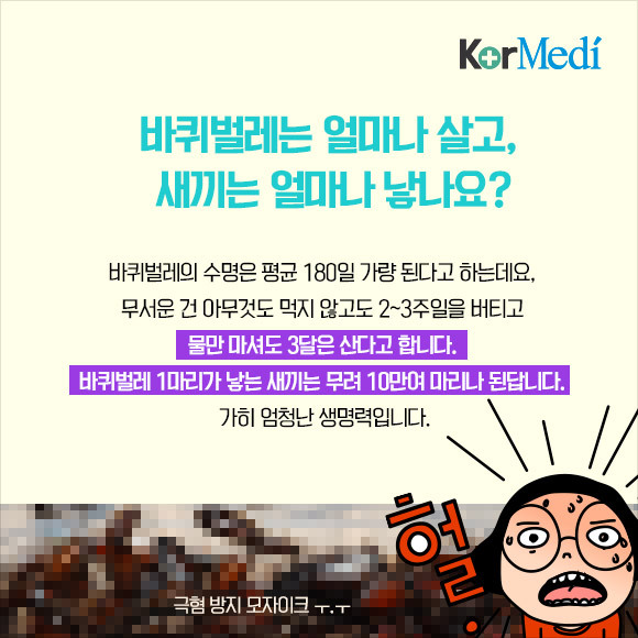 해충에 대한 오해와 진실(feat.바퀴)_약혐주의 | 인스티즈