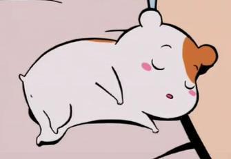 흥 이미지