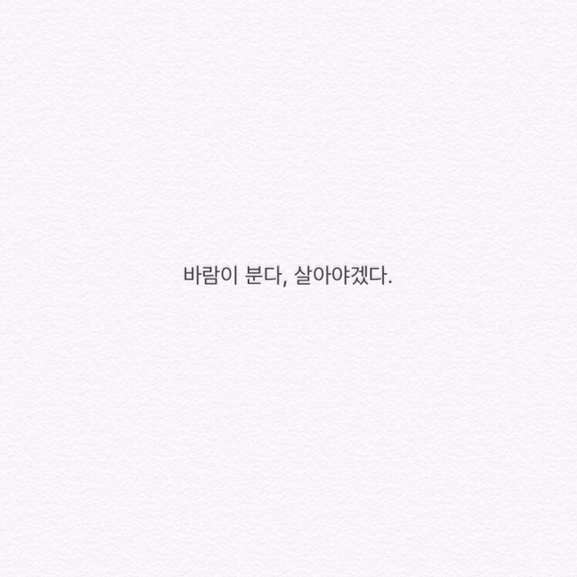 바람이분다 이미지