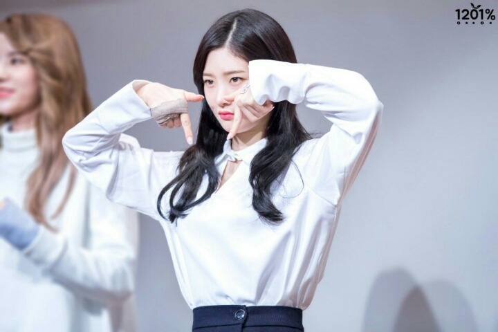 욜로 이미지