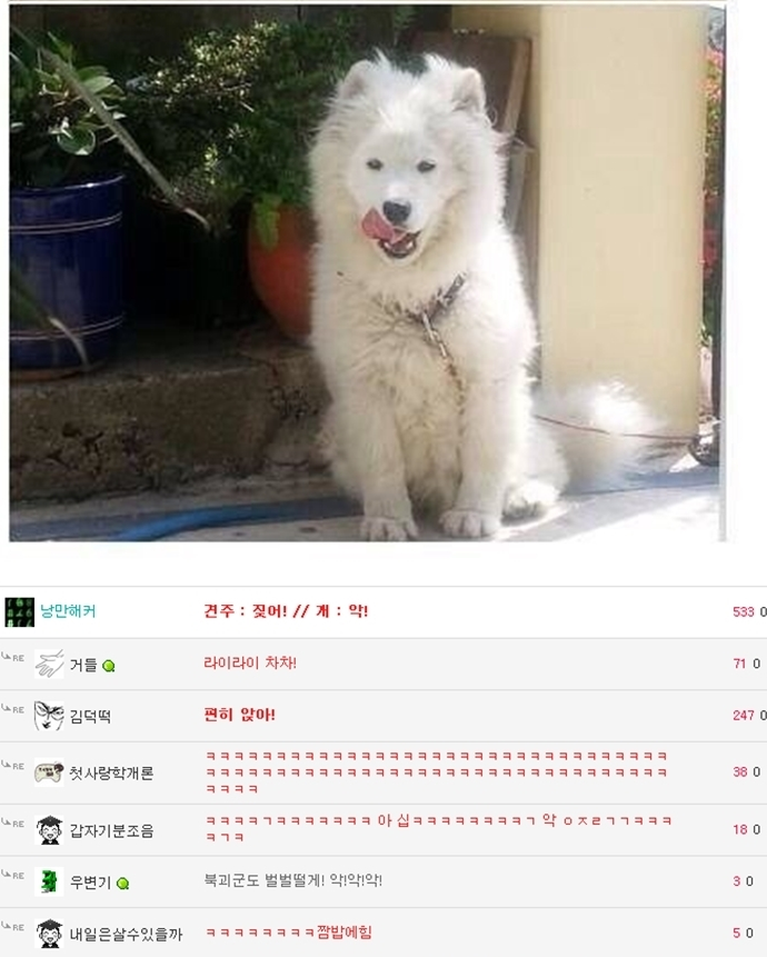 3개월 전 잃어버렸던 강아지와의 상봉 | 인스티즈