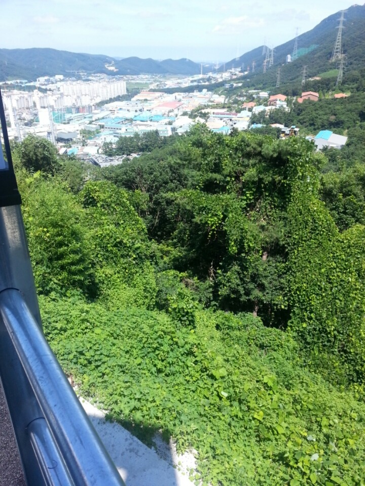곰내커피 이미지