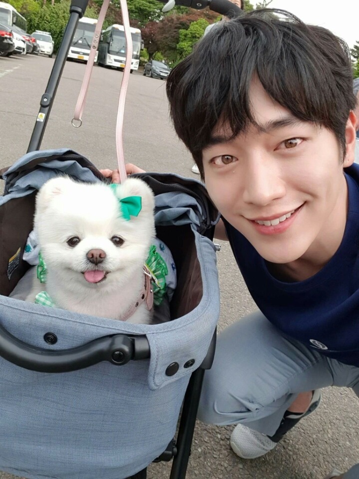 부타 이미지