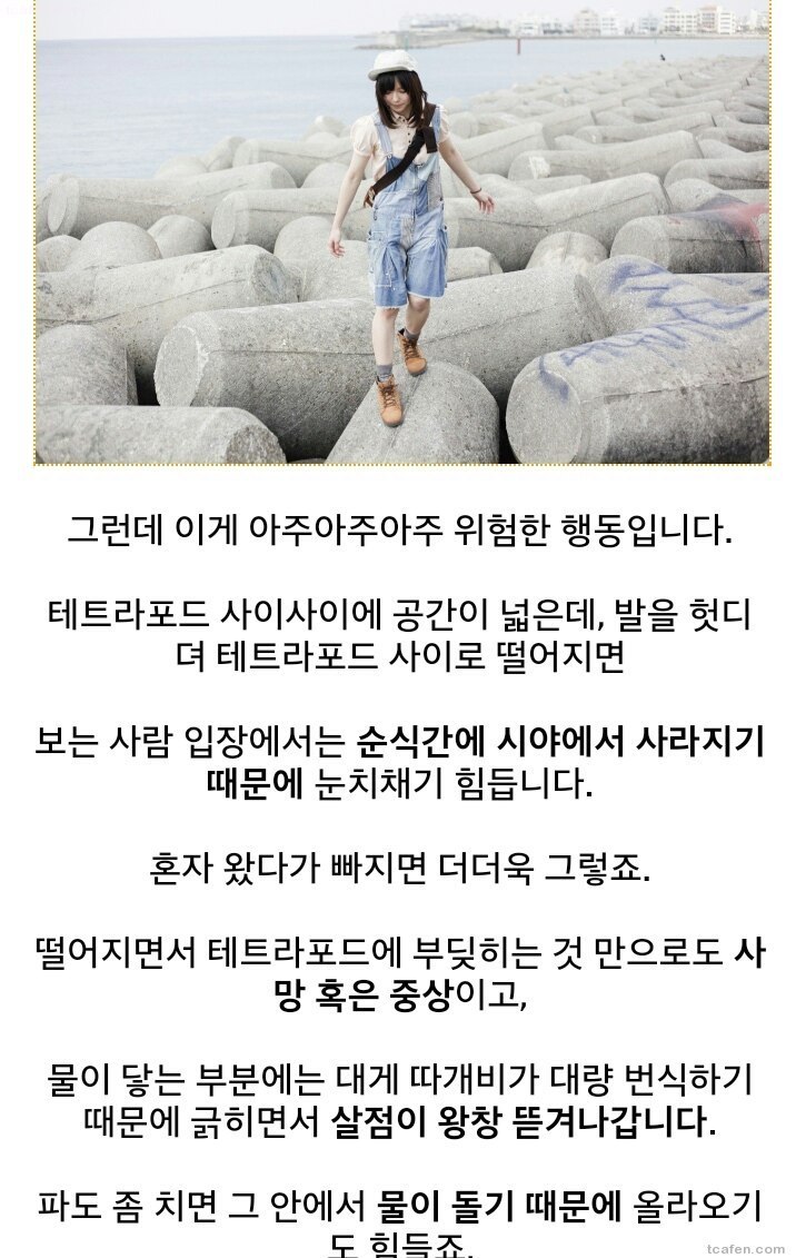 방파제에 올라가지 마시오 | 인스티즈